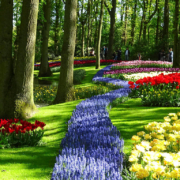 How to get to Keukenhof park from Amsterdam?